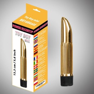 Toy boy mini gold mini vibrator 13,3 cm x 5,6 inch