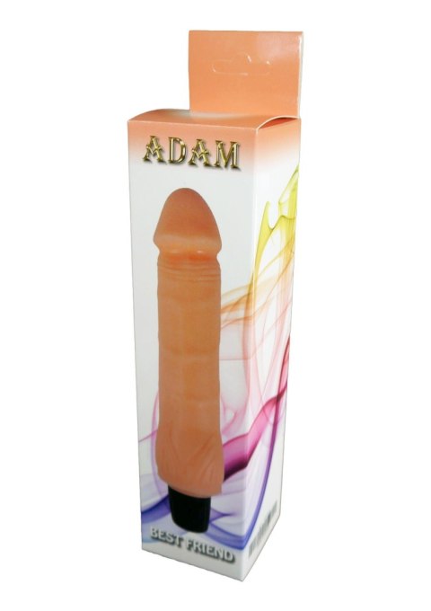 Wibrator-ADAM, 7 FUNCTION