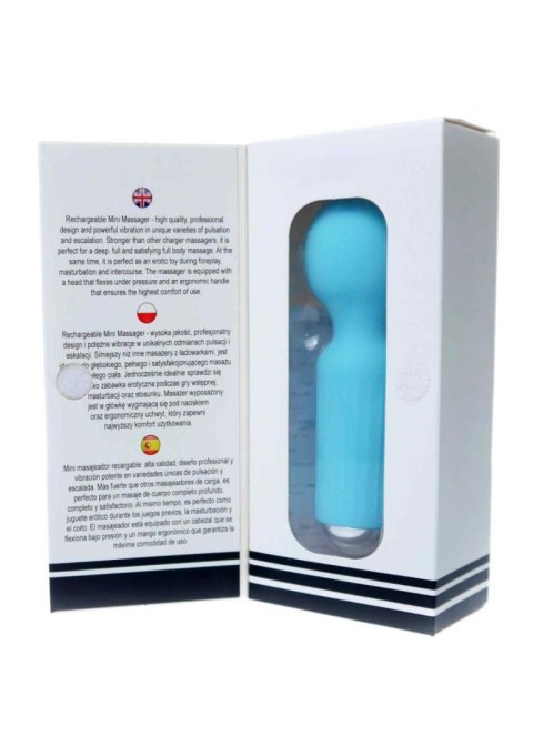 Stymulator-Rechargeable Mini Masager USB 20 Functions - Blue