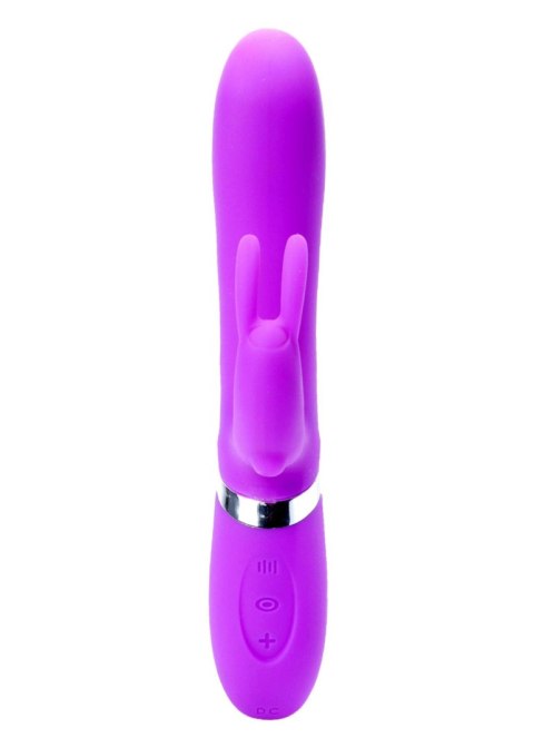 Wibrator-CLARA Purple 12 vibration and 6 pulsation functions USB