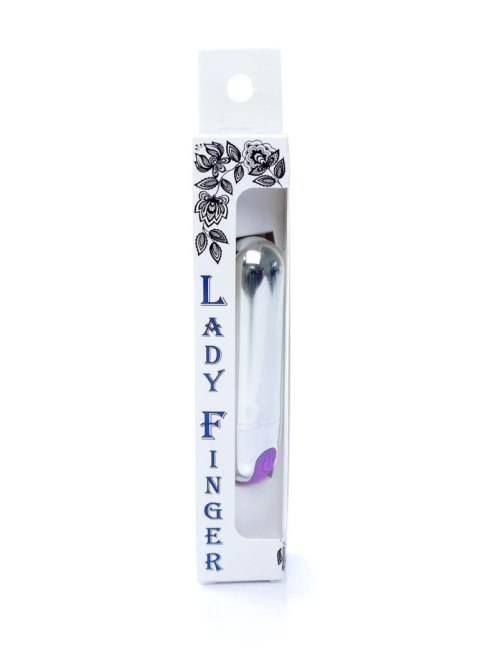 Wibrator-Strong Bullet Vibrator Silver/Purple USB 10 Function