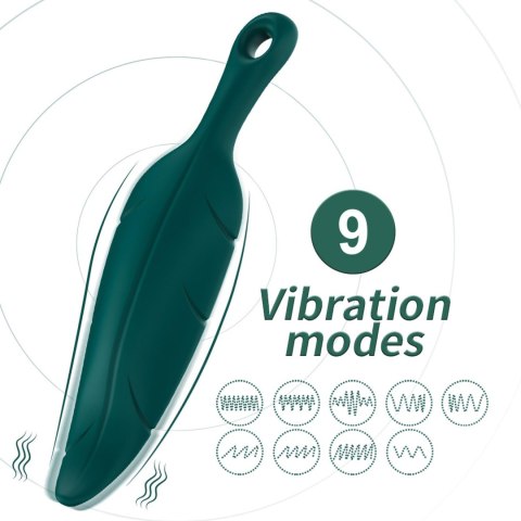 Leaf Green, 9 vibration functions