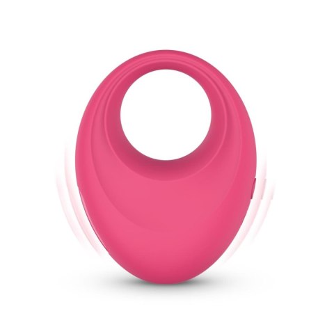 EasyConnect - Vibrating Cockring Leo app-controlled