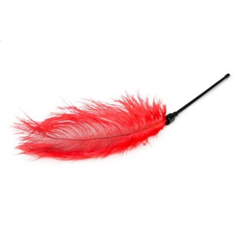 Pejcz-Red Feather Tickler