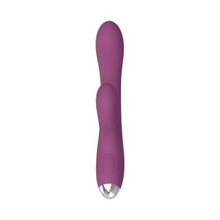 Dual rabbit vibrator