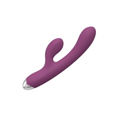 Dual rabbit vibrator