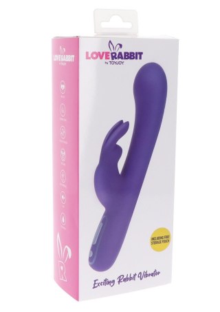 Exciting Rabbit Vibrator Purple