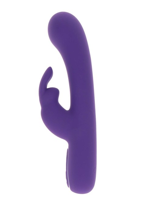 Exciting Rabbit Vibrator Purple