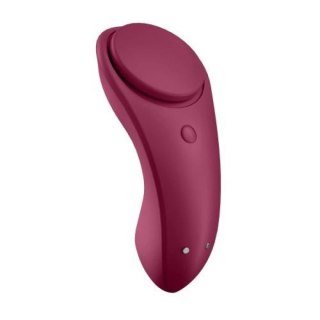 Sexy Secret Panty Vibrator