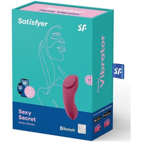 Sexy Secret Panty Vibrator