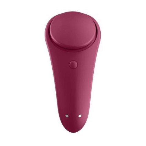 Sexy Secret Panty Vibrator