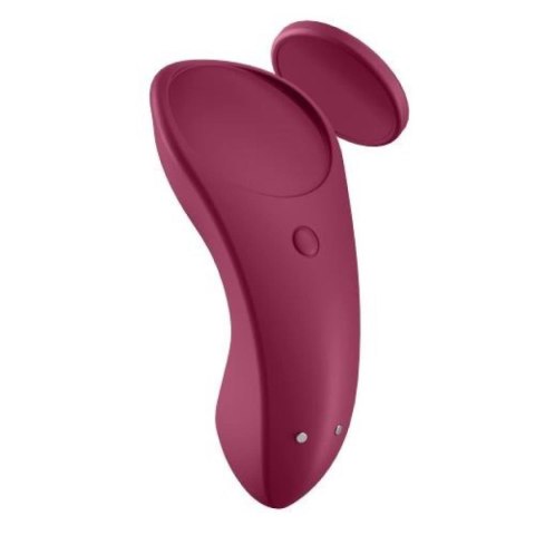 Sexy Secret Panty Vibrator