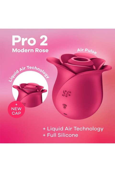 Pro 2 Modern Rose