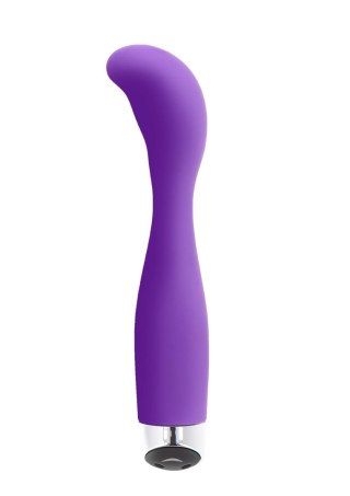 Bird Of Paradise XL Vibe Purple