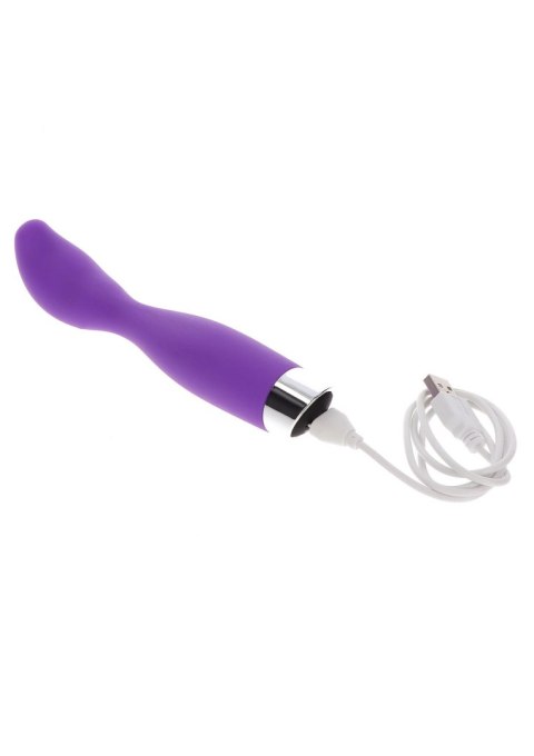 Bird Of Paradise XL Vibe Purple