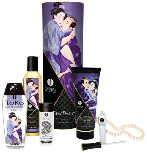 Carnal Pleasures Kit