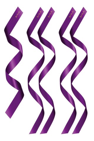 PACK HEADBANDS 1 + 4 PURPLE (Size: TU)