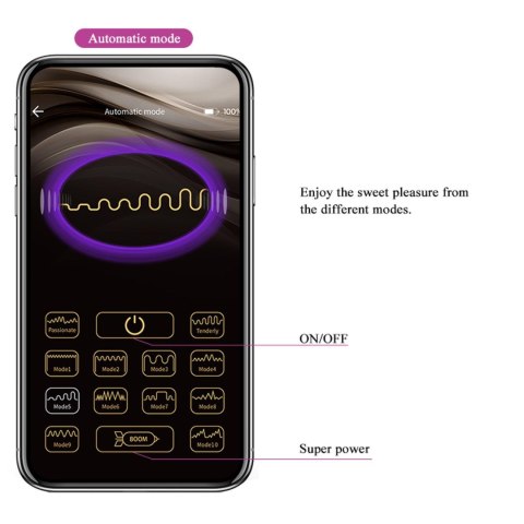 PRETTY LOVE - Baird, 12 vibration functions Mobile APP Long-distance Control