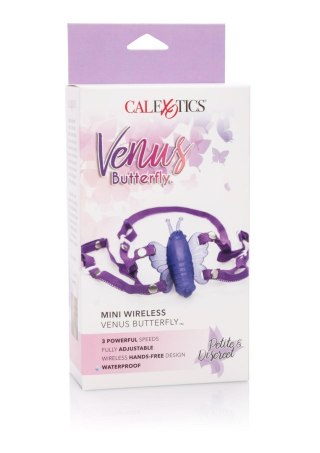 Mini-Wireless Venus Butterfly Purple