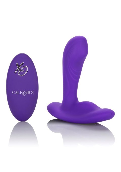 Remote Pinpoint Pleaser Purple