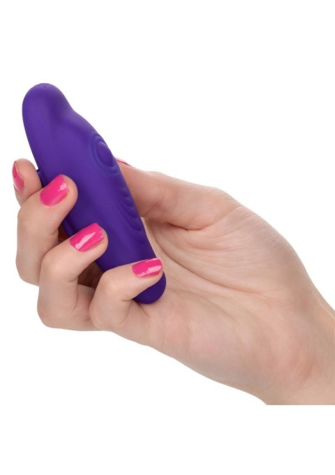 Remote Pulsating Panty Teaser Purple