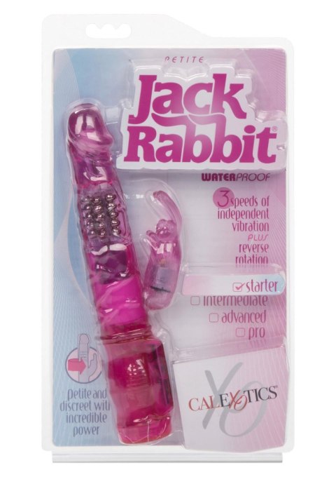 Petite Jack Rabbit Pink