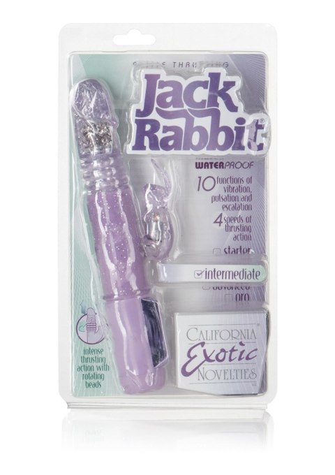 Wibrator-PETITE THRUSTING JACK RABBIT PURPLE