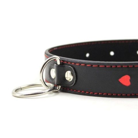 Easy Collar Leash black