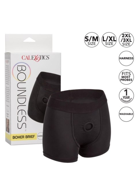 Boundless Boxer Brief Black