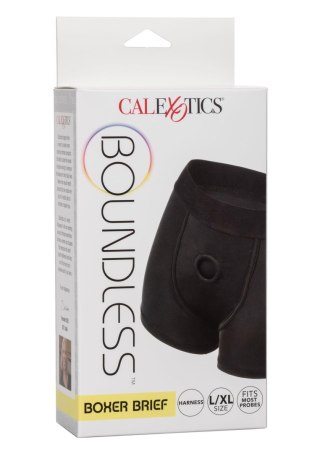 Boundless Boxer Brief Black