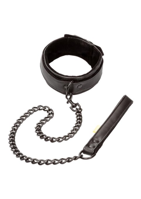 Boundless Collar & Leash Black