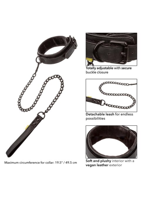 Boundless Collar & Leash Black