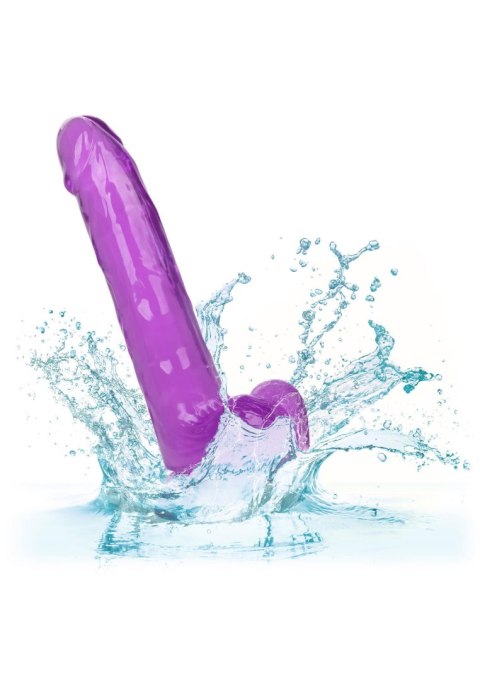 Queen Size Dong 8 Inch Purple