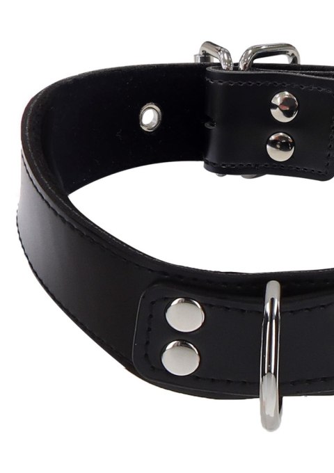 Elegant D-Ring Collar Black