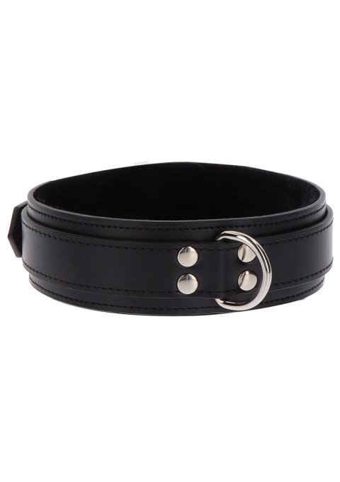 Heavy D-Ring Collar Black