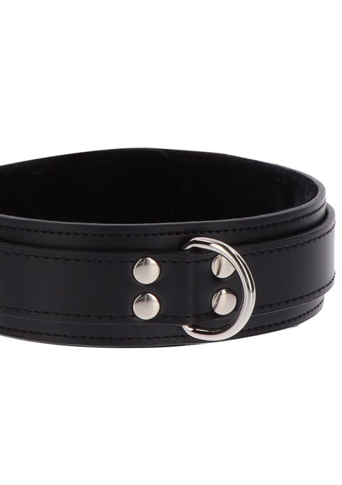 Heavy D-Ring Collar Black