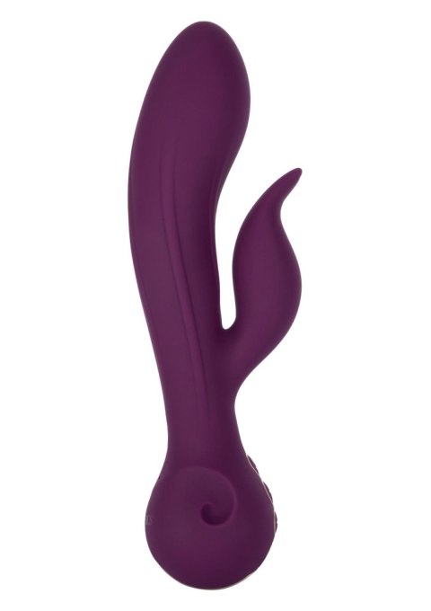 Obsession Desire Purple