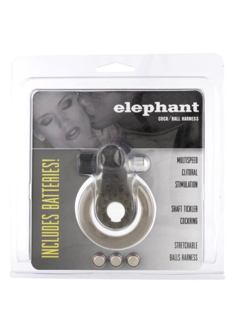 Cock & Ball Ring Elephant Transparent