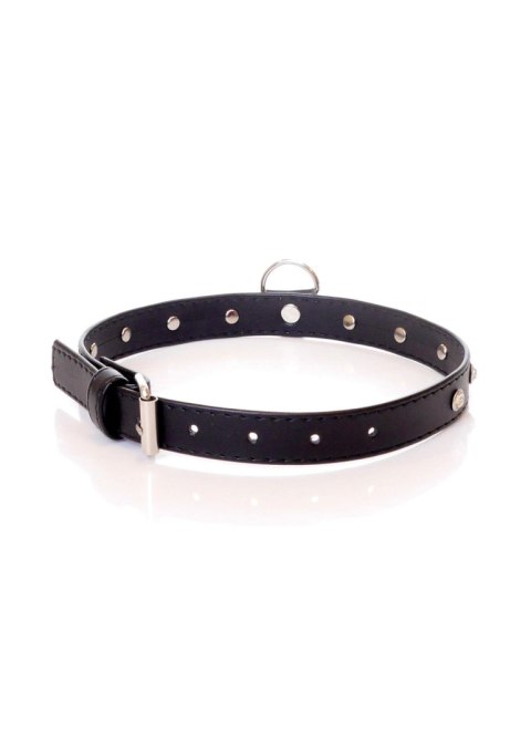 Fetish B - Series - Collar 2 cm silver crystal