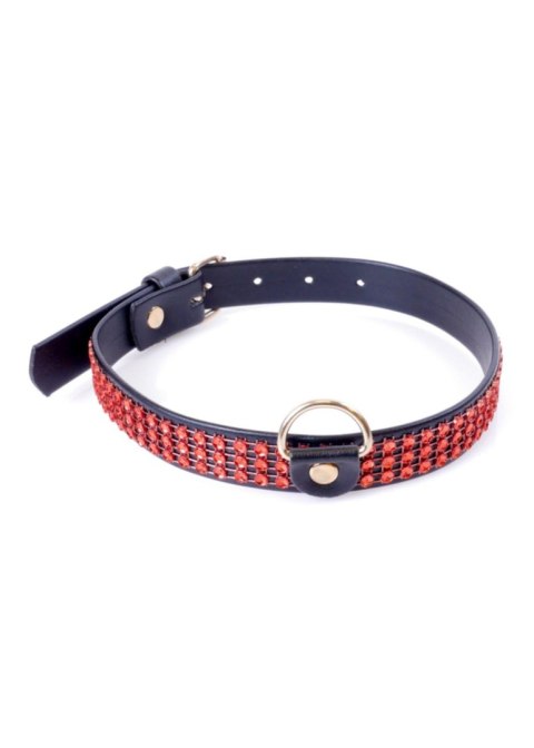 Fetish B - Series Collar with crystals 2 cm Red Line