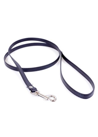 Fetish B - Series Leash