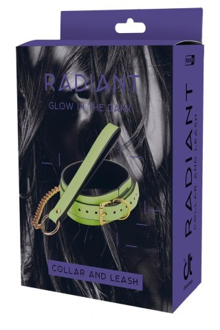 RADIANT COLLAR AND LEASH GLOW IN THE DARK GREEN