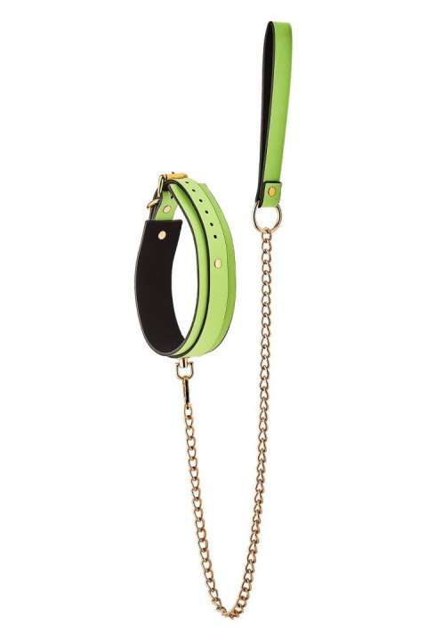 RADIANT COLLAR AND LEASH GLOW IN THE DARK GREEN