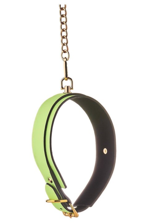 RADIANT COLLAR AND LEASH GLOW IN THE DARK GREEN