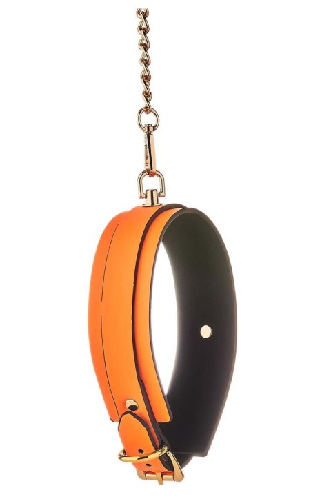 RADIANT COLLAR AND LEASH GLOW IN THE DARK ORANGE