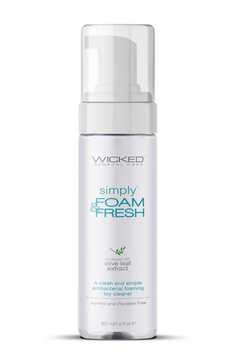 WICKED SIMPLY FOAM & FRESH TOY CLEANER