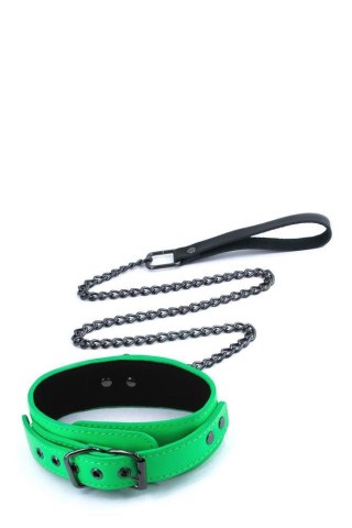 ELECTRA COLLAR & LEASH GREEN