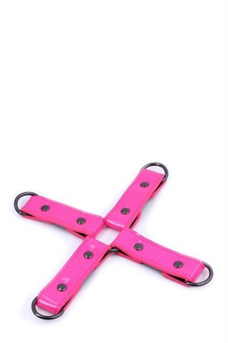 ELECTRA HOG TIE PINK