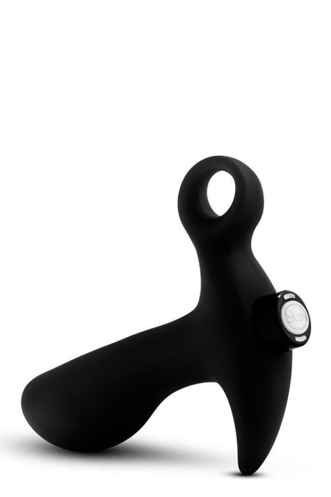 ANAL ADVENTURES PROSTATE MASSAGER 01