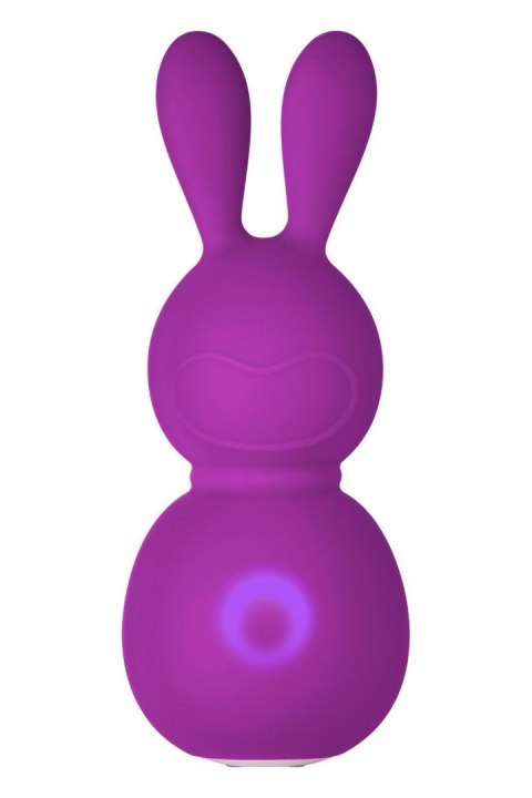 FEMMEFUNN BUNNY MASSAGER PURPLE